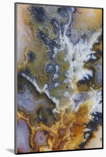 Graveyard Plume Agate, Oregon-Darrell Gulin-Mounted Photographic Print