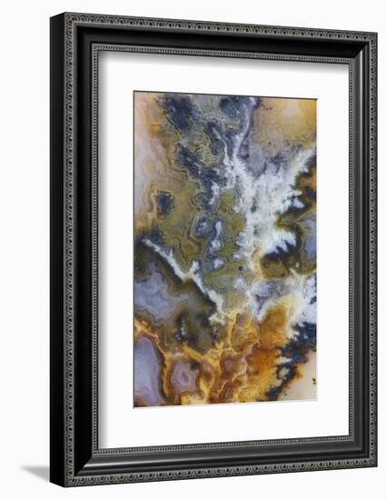 Graveyard Plume Agate, Oregon-Darrell Gulin-Framed Photographic Print