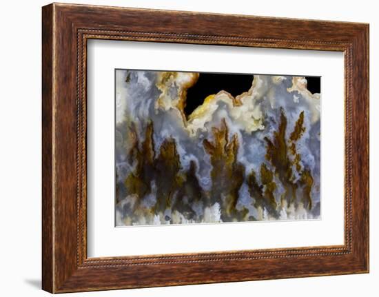 Graveyard Point Plume Agate, Oregon-Darrell Gulin-Framed Photographic Print