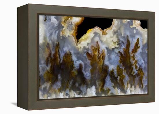 Graveyard Point Plume Agate, Oregon-Darrell Gulin-Framed Premier Image Canvas