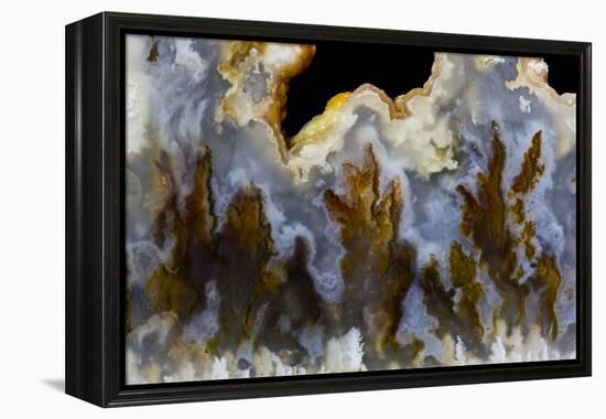 Graveyard Point Plume Agate, Oregon-Darrell Gulin-Framed Premier Image Canvas