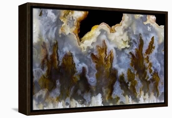 Graveyard Point Plume Agate, Oregon-Darrell Gulin-Framed Premier Image Canvas