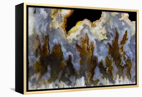 Graveyard Point Plume Agate, Oregon-Darrell Gulin-Framed Premier Image Canvas