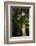 Graveyard Statue and Trees Draped in Spanish Moss at Entrance to Bonaventure Cemetery-Paul Souders-Framed Photographic Print