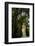 Graveyard Statue and Trees Draped in Spanish Moss at Entrance to Bonaventure Cemetery-Paul Souders-Framed Photographic Print