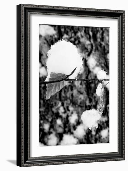 Gravity-Craig Howarth-Framed Photographic Print