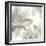 Gray and Silver Flowers I-Chris Paschke-Framed Art Print