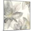 Gray and Silver Flowers I-Chris Paschke-Mounted Art Print