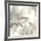 Gray and Silver Flowers I-Chris Paschke-Framed Premium Giclee Print