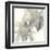 Gray and Silver Flowers II-Chris Paschke-Framed Art Print