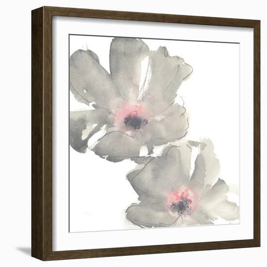 Gray Blush Cosmos I on White-Chris Paschke-Framed Art Print