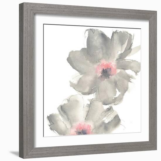 Gray Blush Cosmos II on White-Chris Paschke-Framed Art Print