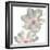 Gray Blush Cosmos II on White-Chris Paschke-Framed Art Print