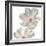 Gray Blush Cosmos II on White-Chris Paschke-Framed Art Print