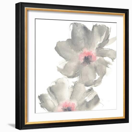 Gray Blush Cosmos II on White-Chris Paschke-Framed Art Print