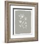 Gray Botanical I-Elizabeth Tyndall-Framed Art Print
