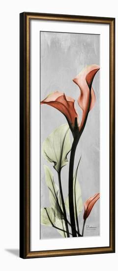 Gray Calla Lily 1-Albert Koetsier-Framed Art Print