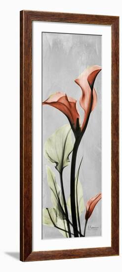 Gray Calla Lily 1-Albert Koetsier-Framed Art Print