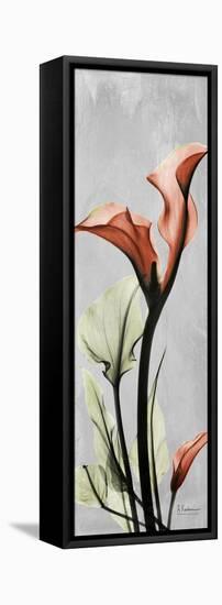 Gray Calla Lily 1-Albert Koetsier-Framed Stretched Canvas
