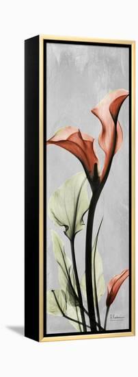 Gray Calla Lily 1-Albert Koetsier-Framed Stretched Canvas