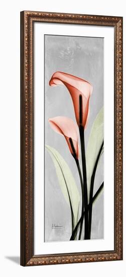 Gray Calla Lily 2-Albert Koetsier-Framed Premium Giclee Print