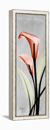 Gray Calla Lily 2-Albert Koetsier-Framed Stretched Canvas