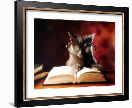 Gray Cat With Glasses Reading A Book-gila-Framed Photographic Print