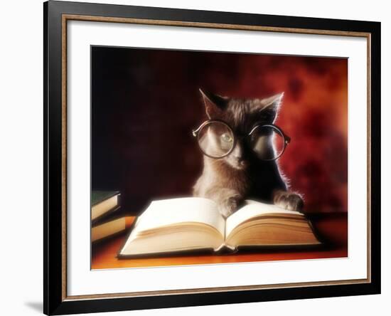 Gray Cat With Glasses Reading A Book-gila-Framed Photographic Print