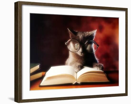 Gray Cat With Glasses Reading A Book-gila-Framed Photographic Print