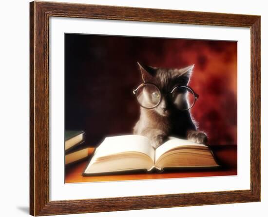 Gray Cat With Glasses Reading A Book-gila-Framed Photographic Print