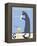 Gray Cat-Ken Bailey-Framed Premier Image Canvas