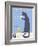 Gray Cat-Ken Bailey-Framed Giclee Print