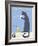 Gray Cat-Ken Bailey-Framed Giclee Print