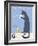 Gray Cat-Ken Bailey-Framed Giclee Print