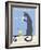 Gray Cat-Ken Bailey-Framed Giclee Print