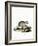 Gray Dwarf Hamster-null-Framed Giclee Print