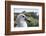 Gray-Headed Albatross on Diego Ramirez Islands, Chile-Paul Souders-Framed Photographic Print