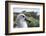 Gray-Headed Albatross on Diego Ramirez Islands, Chile-Paul Souders-Framed Photographic Print