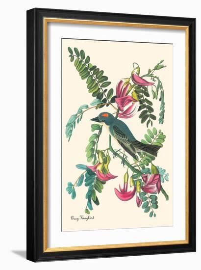 Gray Kingbird-John James Audubon-Framed Art Print