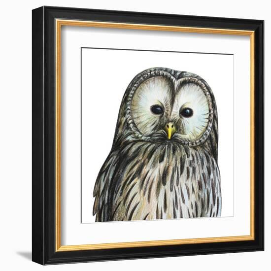 Gray Owl Portrait Drawing-viktoriya_art-Framed Art Print