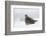 Gray Partridge-Ken Archer-Framed Photographic Print