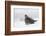 Gray Partridge-Ken Archer-Framed Photographic Print