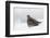 Gray Partridge-Ken Archer-Framed Photographic Print