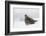 Gray Partridge-Ken Archer-Framed Photographic Print