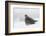 Gray Partridge-Ken Archer-Framed Photographic Print