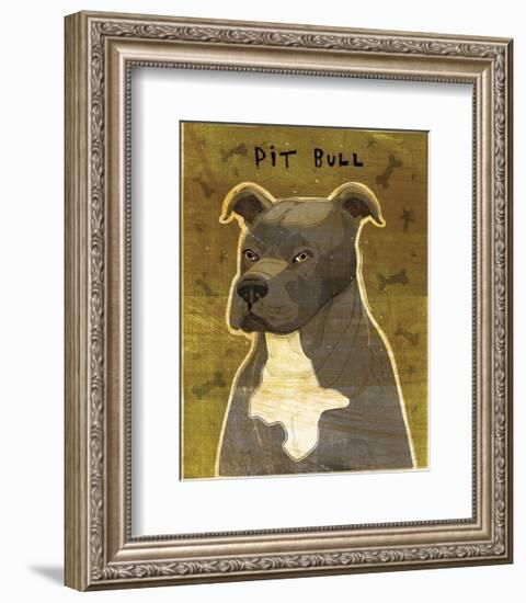 Gray Pit Bull-John W^ Golden-Framed Art Print