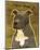 Gray Pit Bull-John W^ Golden-Mounted Art Print