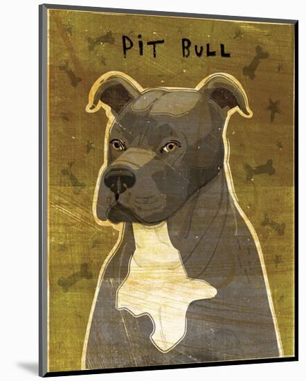 Gray Pit Bull-John W^ Golden-Mounted Art Print