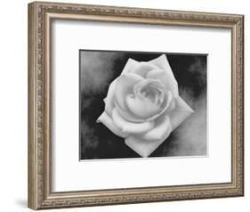 Gray Rose on Gray Background-Rich LaPenna-Framed Photographic Print