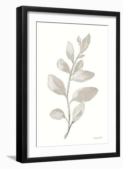 Gray Sage Leaves I on White-Danhui Nai-Framed Art Print